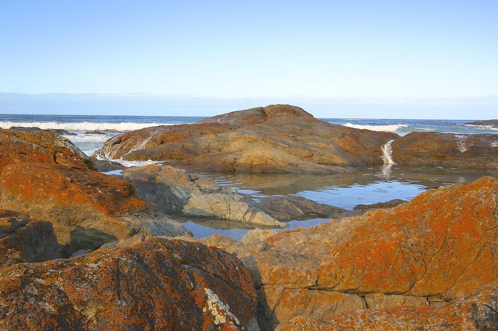 Saltwater - Absolute Oceanfront, Fire Pits, Some Villas With Hot Tubs And Sauna Falmouth Exteriör bild