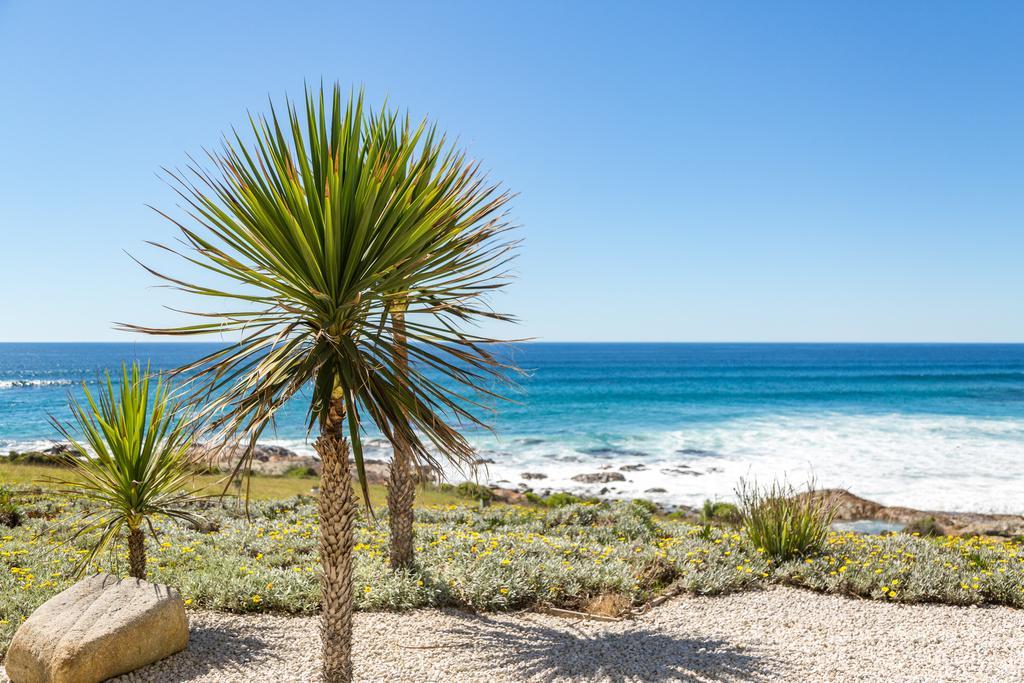 Saltwater - Absolute Oceanfront, Fire Pits, Some Villas With Hot Tubs And Sauna Falmouth Exteriör bild